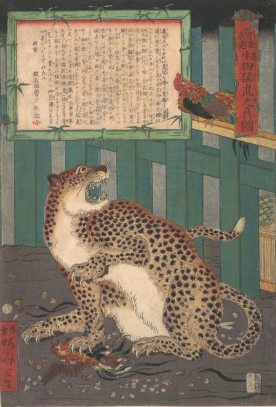 Nikdy předtím neviděný: Skutečný obraz živého divokého tygra..., šestý měsíc 1860. od Kawanabe Kyosai
