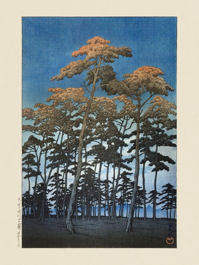 Park Hikawa v Omiji (1930) od Kawase Hasuiho a Watanabeho Shozabura od Kawase Hasui