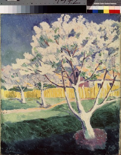 Letní krajina. Obraz Kazimira Severinoviče Maleviče (Malevich, Malevic) (1878-1935), olej na plátně od Kazimir Severinovich Malevich