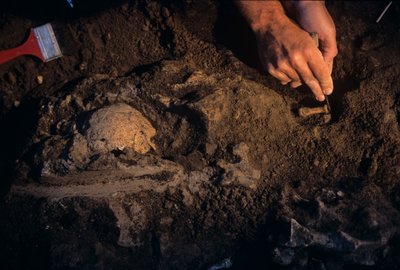 Dmanisi, Gruzie, David Lordkipanidze, Homo Erectus od Kenneth Garrett