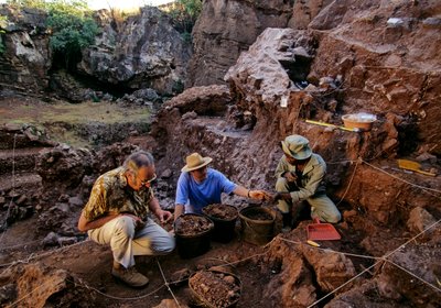 Naleziště Drimolean, nedaleko Johannesburgu, Jihoafrická republika, 2 miliony let starý hominid od Kenneth Garrett