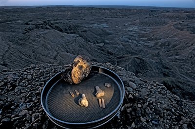Lucyino dítě, Zeray Alemseged, Australopithicus Afarensis, Etiopie, paleontolog,..., 2006 (foto) od Kenneth Garrett