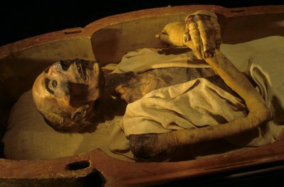 Mumie Ramsese II. od Kenneth Garrett