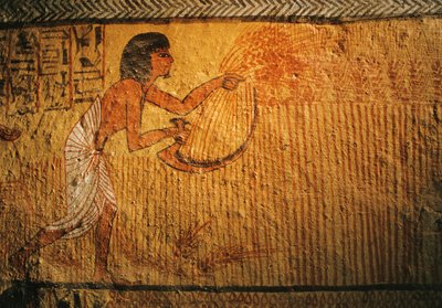 Obraz sklizně pšenice, hrobka Sennedjem, Deir el Medina, 2003 (foto) od Kenneth Garrett