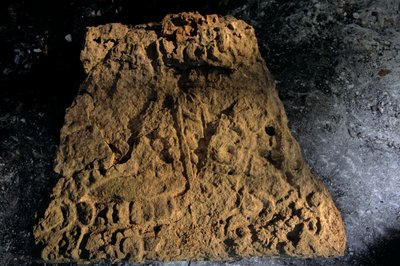 Stéla, Sufricaya, Holmul, Guatemala, Mayové, Francisco Estradabelli, 2008 (foto) od Kenneth Garrett
