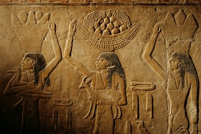 Ženy nesoucí chléb, ptáka, kozu a produkty, hrobka Tiye, Egypt; Stará říše; Sakka... od Kenneth Garrett