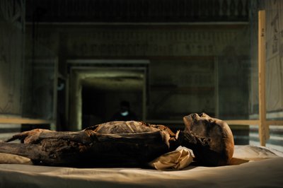 mm7864; 18. dynastie; Nová říše; Egypt; DNA; Vzorek; Mumie, neznámá mumie, 2005 (foto) od Kenneth Garrett