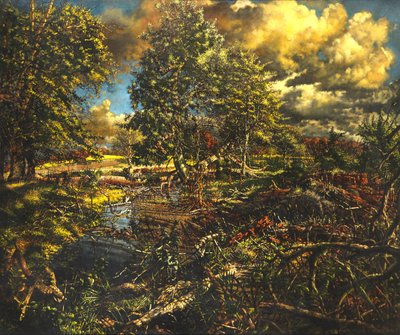 Nailbourne Spring Stream, Bourne Park od Kenneth Newton