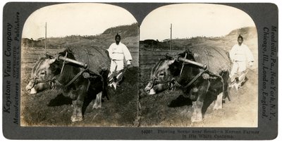 Farmaření poblíž Soulu, Jižní Korea, 1900. od Keystone View Company