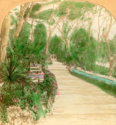 Promenáda, Alameda Garden, Rock of Gibraltar, 1896. od Keystone View Company