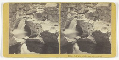 Falls of the Ammonoosuc, 185575. Tvůrci: Kilburn Brothers, BW Kilburn. od Kilburn Brothers, BW Kilburn