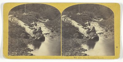 The Babbling Brook, 185575. Tvůrci: Kilburn Brothers, BW Kilburn. od Kilburn Brothers, BW Kilburn