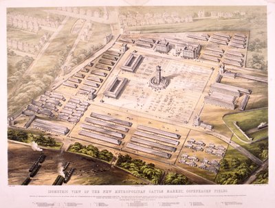 Metropolitní dobytčí trh, Londýn, 1855 od King