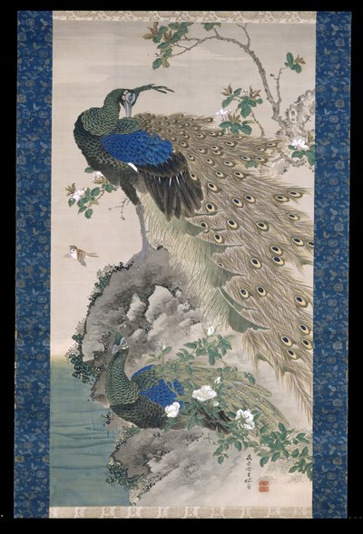 Cherry-Apple And Peacocks On Rock (inkoust a barvy na hedvábí) od Kishi Ganku