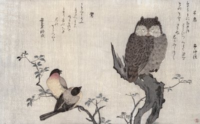 An Owl and two Eastern Bullfinches, z alba „Birds Compare in Humorous Songs, Contest of Poetry of the 100 and 1000 birds“, 1791 (barevný dřevotisk) od Kitagawa Utamaro