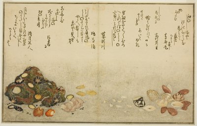 Nohy venku, škeble, kogai, vrabci venku, Akoya venku, venku plán d Katashi, z tee st latte)“ od Kitagawa Utamaro
