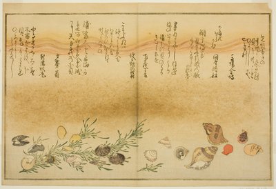 Je tu Benny, je tu hrůza, je tu urayu-gai, waget-gai, Chiyo-no-hana-gai, plan d Masho, z tee vrstevnatých listenů od Kitagawa Utamaro