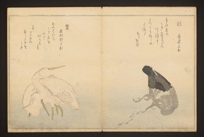 Kormorán a volavka od Kitagawa Utamaro