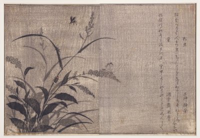 Kriket a světlušky, 1788 (dřevěný blok) od Kitagawa Utamaro