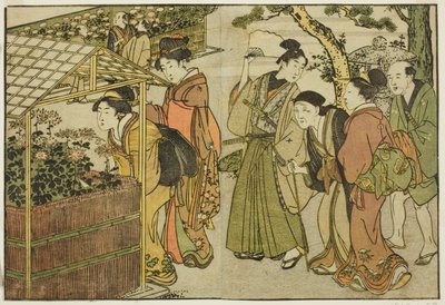 Zobrazení chryzantém, z ilustrované knihy "Obrázková kniha: Květiny čtyř ročních období (Ehon shiki no hana)", sv. 2 od Kitagawa Utamaro
