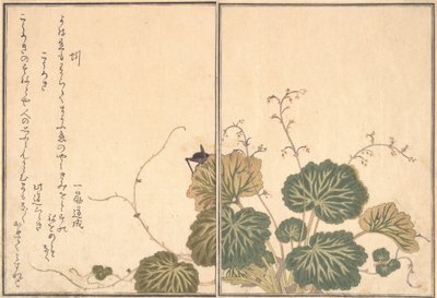 Žížala Mimizu, Kriket Korogi..., 1788. od Kitagawa Utamaro
