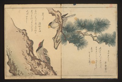 Grobeak a datel od Kitagawa Utamaro