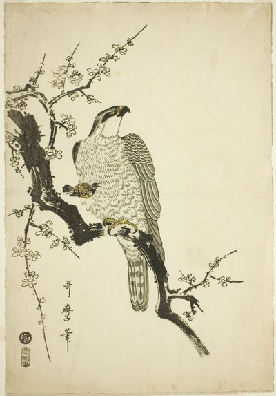 Jestřáb na švestkové větvi od Kitagawa Utamaro