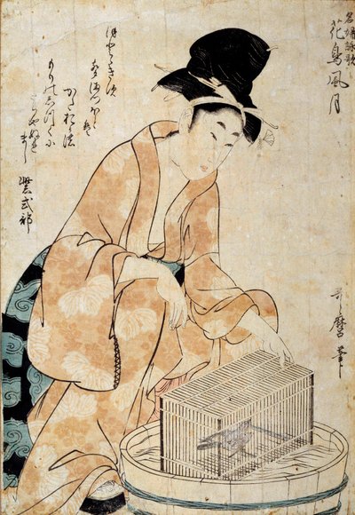 Japonské umění: žena sedící před ptačí klecí. Kresba Outamaro (Utamaro) Kitagawa (1753-1806) Rennes 18. století, Musee des Beaux Arts od Kitagawa Utamaro