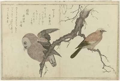 Jay a sova od Kitagawa Utamaro