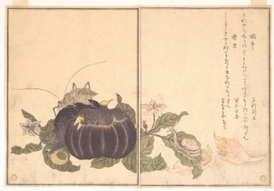  od Kitagawa Utamaro