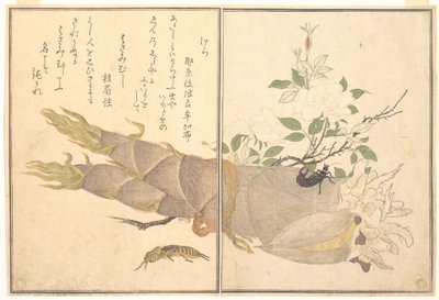 Kobylka krtonožka (Kera); škvor (Hasami-mushi), z Obrázkové knihy lezoucích tvorů (Ehon mushi erami) od Kitagawa Utamaro