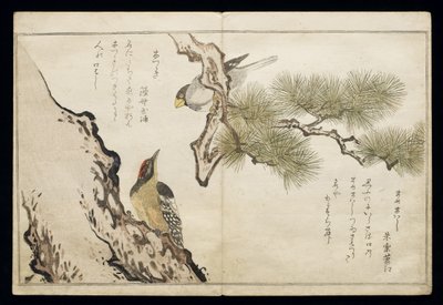 P.332-1946 Svazek 1 f.3 Jestřáb a datel, z alba "Ptáci v žertovných písních", 1791 (barevný dřevoryt) od Kitagawa Utamaro