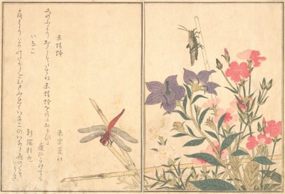 Červená vážka Akatonbo, Locust Inago..., 1788. od Kitagawa Utamaro