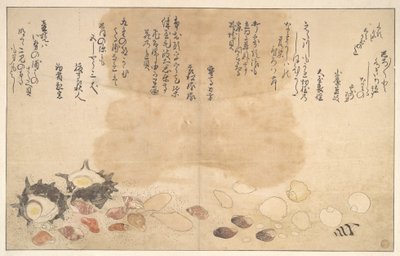 Mušle pod vodou od Kitagawa Utamaro