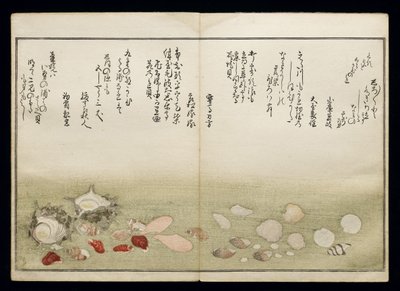 Shiohi no tsuto (Dary odlivu), známá jako Kniha mušlí, 1789 (barevný dřevoryt) od Kitagawa Utamaro