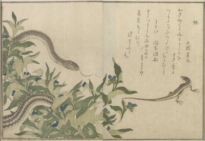 Had a ještěrka, 1788 (barevný dřevořez) od Kitagawa Utamaro