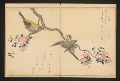 Sýkora a pěnice od Kitagawa Utamaro