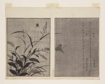 Tree Cricket (Matsumushi) a Firefly (Hotaru) (barevný dřevotisk) od Kitagawa Utamaro