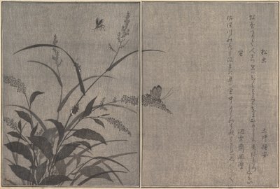 Stromový kriket Matsumushi, Firefly Hotaru..., 1788. od Kitagawa Utamaro