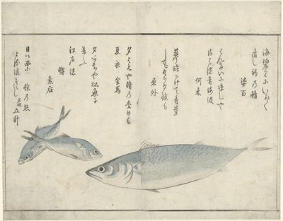 Tři ryby od Kitao Masayoshi