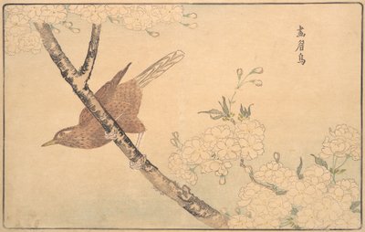 Drozd šedý, 1789. od Kitao Masayoshi