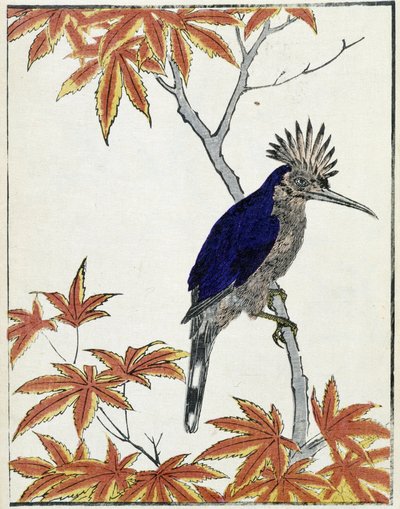 Pták na stromě. Japonská kresba Kitao Kosuisai od Kitao Shigemasa