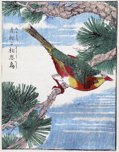 Pták na stromě. Japonská kresba Kitao Kosuisai od Kitao Shigemasa