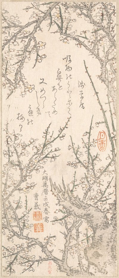 Plum Tree in Blossom, 1813. od Kitao Shigemasa