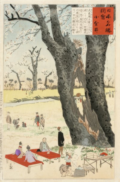Koganei, třešňové květy od Kiyochika Kobayashi