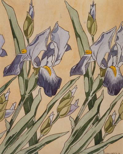 Iris, 1898 od Koloman Moser