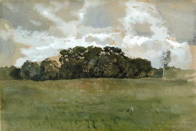 Krajina s šedými mraky, 1897 od Konstantin Somov