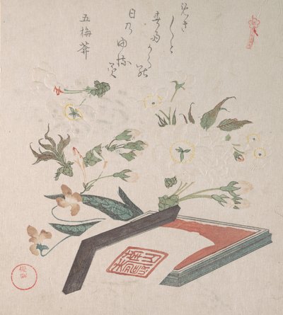 Cherry Blossoms and Seal-box s inkoustem a pravítkem, 19. století. od Kubo Shunman