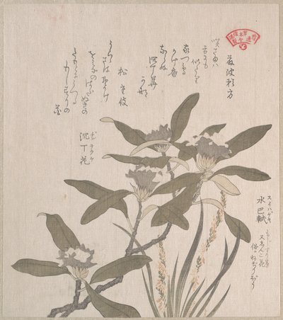  od Kubo Shunman