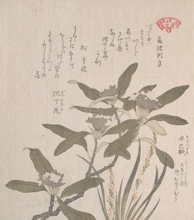 Daphne Odora a Mojisuri-so, 19. století. od Kubo Shunman